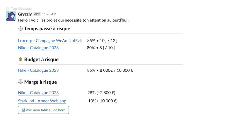 Alertes projets risques