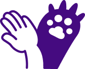 Claque un high five à Gryzzly !