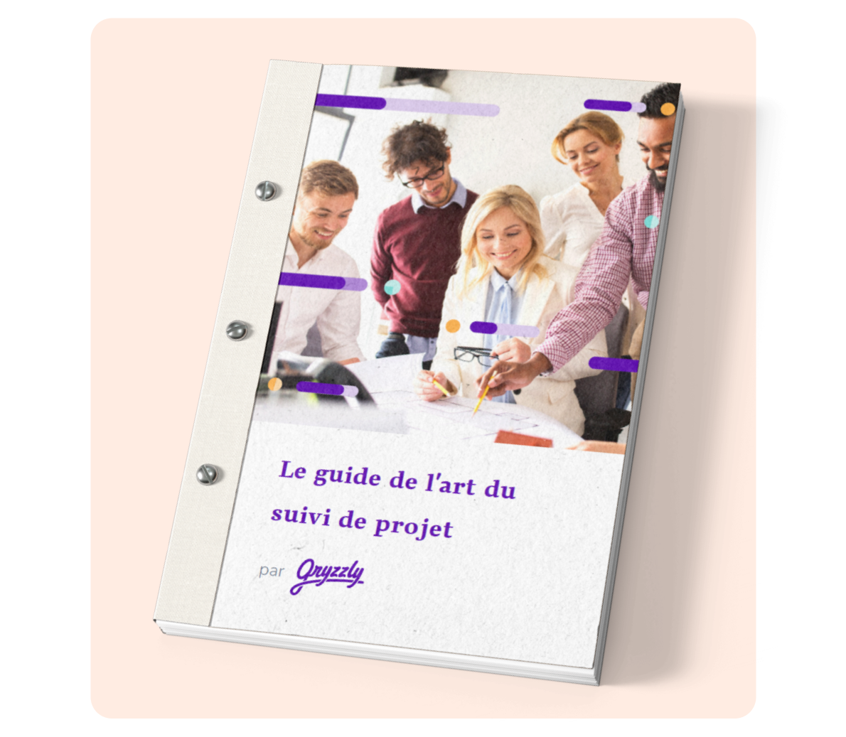 Vue du guide de suivi de projet